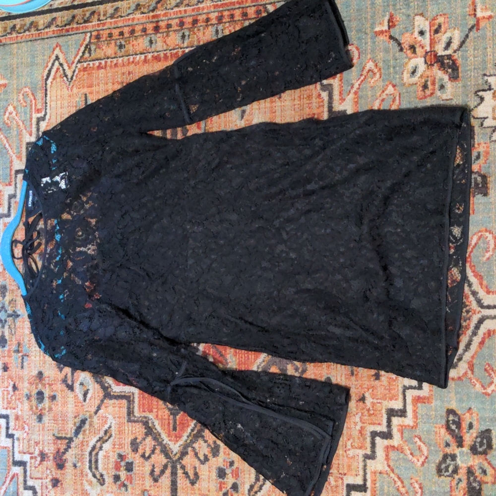 Express lace mini dress